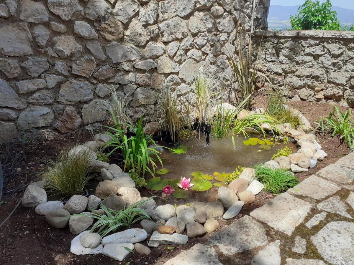 Agoriani Art Suite - 4 Seasons' Natural Living Lilaia Экстерьер фото